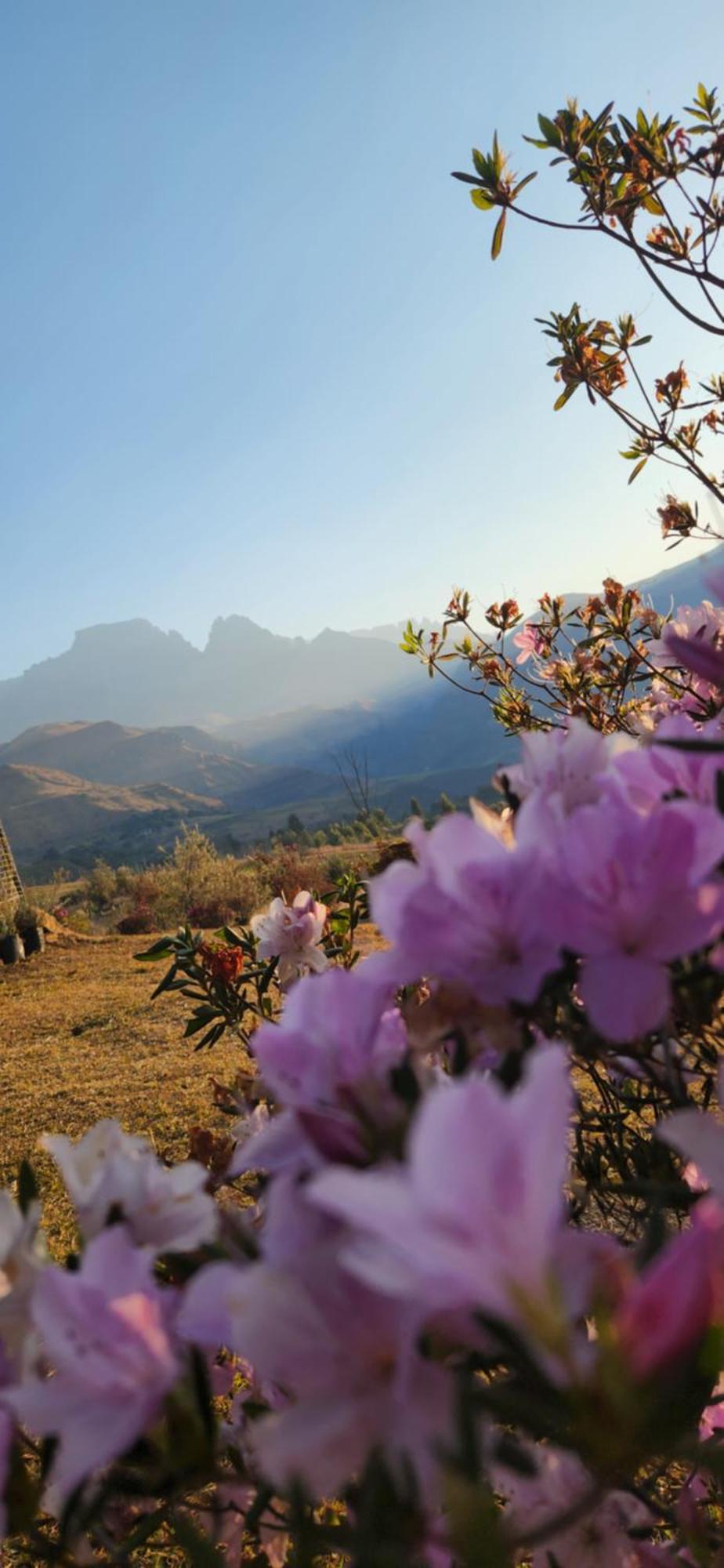 Emafweni Villa Champagne Valley Ngoại thất bức ảnh