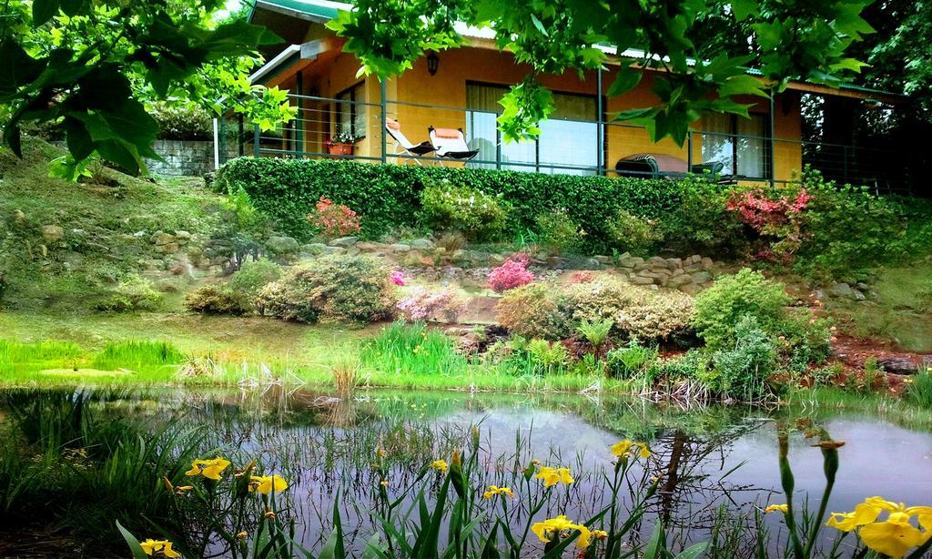 Emafweni Villa Champagne Valley Phòng bức ảnh