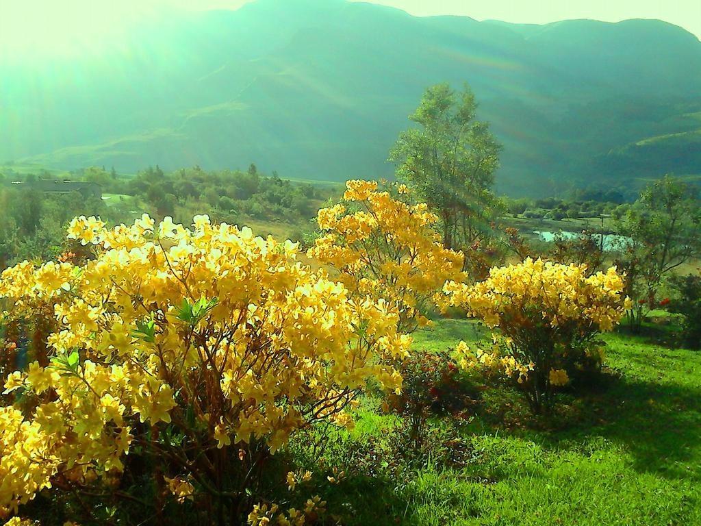Emafweni Villa Champagne Valley Ngoại thất bức ảnh