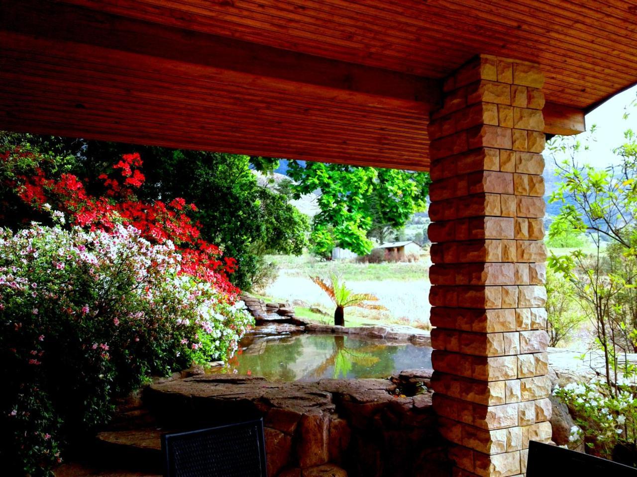 Emafweni Villa Champagne Valley Ngoại thất bức ảnh
